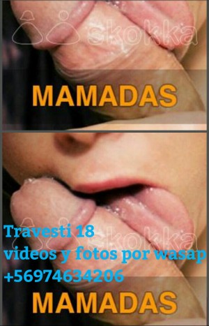 10 MIL EL MAMON Escort Travestis en Santiago |  10.000.travesti chupo pico oral americana real lo chupo mejor que una mina 974634206, Sexo oral y anal para  primerisos y novatos ven ve 