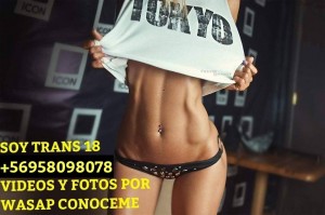 Lolita 18 a&ntilde;os Escort Travestis en Santiago |  Pendejita mamadora adicta al pico y sexo ven follemos activa y pasiva  - anal y oral ven culiemos, Trueke y permuto mira mis videos por wasap
