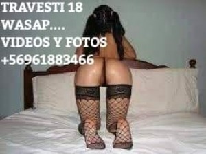 Mira mis videos  Escort Travestis en Providencia |  Cataleya 18 full anal y oral activa y pasiva wasapeame  dpto sin conserje, Te lo mamo mejor k mina mira mis videos mios reales