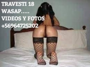 Mira mis videos mios Escort Travestis en Santiago |  Trans 18 experta en primerisos ven follemos mira mis videos +56964725202 wasapeame ahora ven conocem, Mira mis videos y fotos por wasap visitame pendex 18 ven