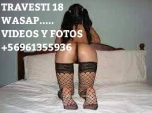 Mira mis videos mios Escort Travestis en Santiago |  Trans 18 experta en primerisos ven follemos mira mis videos +56961355936 wasapeame ahora ven conocem, Mira mis videos y fotos por wasap visitame pendex 18 ven