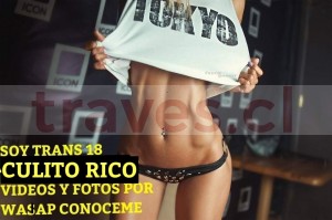 Follemos Escort Travestis en Santiago |  Mamadora profesional te lo chupo al natural tragona,pendex18, Adicta al sexo anal mokeame el culo y boca visitame