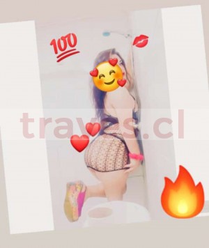 Karla  Escort Travestis en Santiago |  Ven cogeme duro trans de colita aguantadora , Videos pack fotos llamadas 