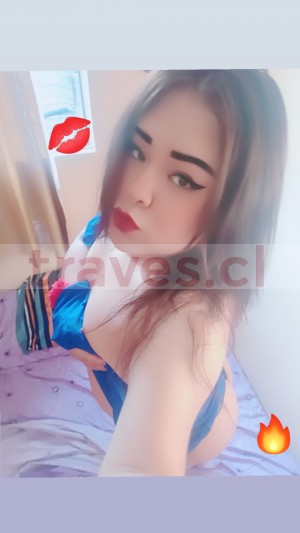Leslie  Escort Travestis en Santiago |  Rica sabrosa trans gordita serv completo sin apurÓs , Sexo porno gay