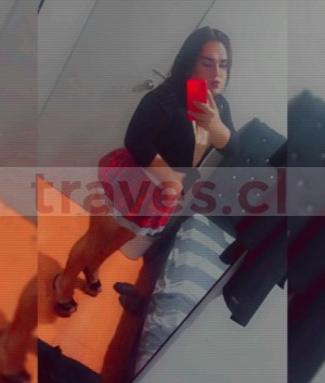 Lesly Escort Travestis en Santiago |  Trans disponible metro franklin o bio bio , Sexo oral anal poces 